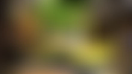 BRASILEÑO DE RALLY: VICTORIA Y LIDERAZGO PARA ENSSLIN/VILLETE