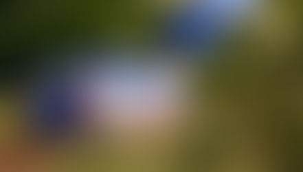 Primera Fecha: Resultado Final Día 1