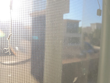 Do Window Screens Make Windows Look Dirtier?