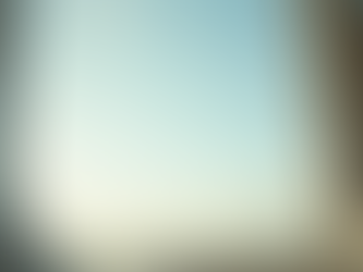 Creating an Effective Window Cleaning Schedule