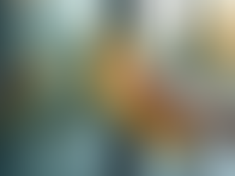 Secrets to Streak-Free Windows by Professionals