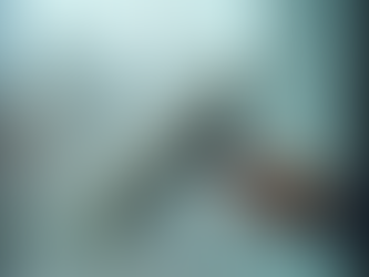 How to Choose the Best Window Washing Service: A Practical Guide for Spotless Results