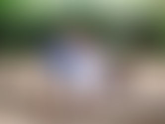 Casey + Will Engagement @ Coker Arboretum (UNC) - Chapel Hill, North Carolina