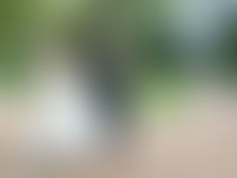 Kaitlin + Ahren Wedding @ Fred Fletcher Park - Raleigh, NC