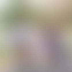 Marsh Family @ Marshfield Farms - Smithfield, North Carolina