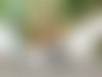 Jack + Natalie @ Bass Lake Park - Holly Springs, North Carolina