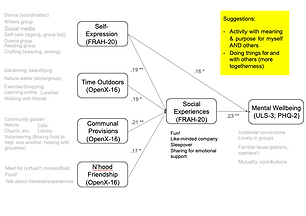 Path analysis diagram linking CAP factors with mental wellbeing through social experiences