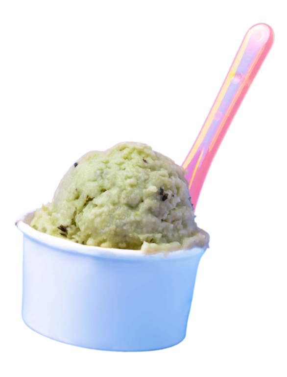 Gelato Cup.png