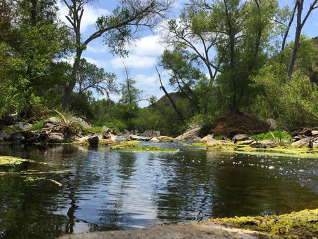 What Grieving Looks like during a Pandemic