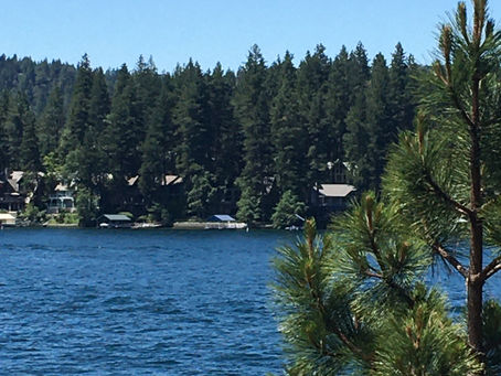 Don't Call it the New Normal