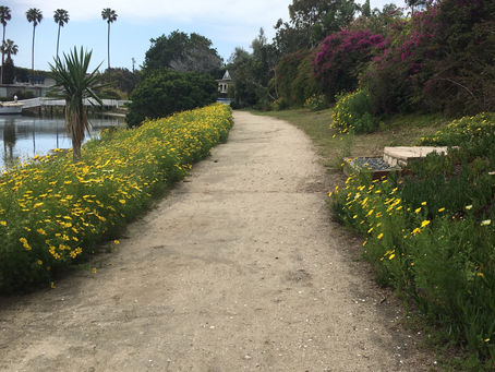 Thoughts While We're Hoarding