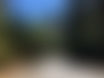 Lessons from the Trail