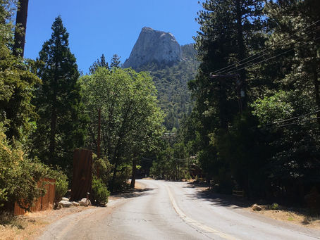 Lessons from the Trail