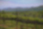 Kaya Vineyards