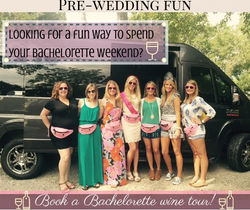 pre wedding fun