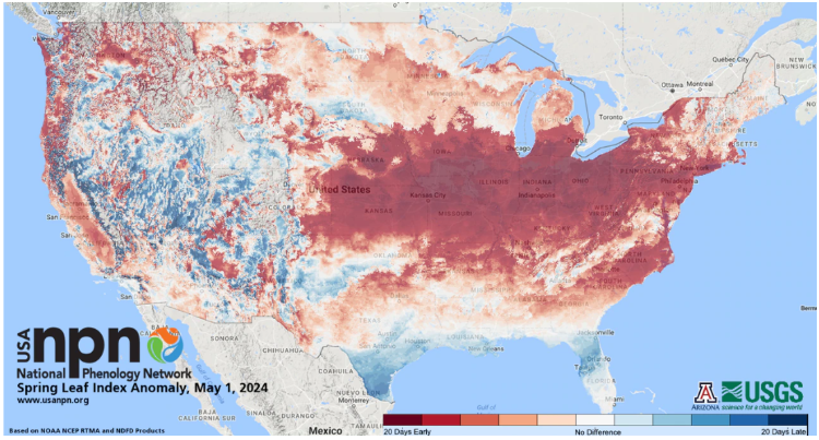 Map of the US showing 2024 spring onset anomaly