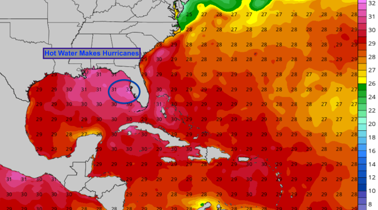 Ocean temperatures along the projected path