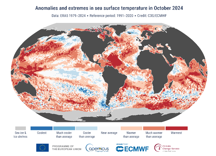 Global ocean temperature anomalies Oct. 2024