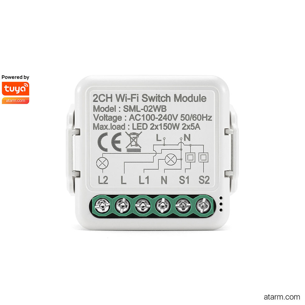 SML-02WB 2CH Wi-Fi Switch Module