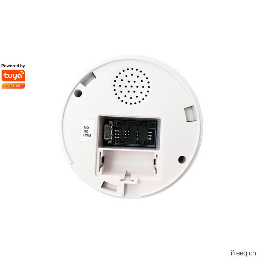 Thumbnail: RQ410W Wi-Fi Gas Detector