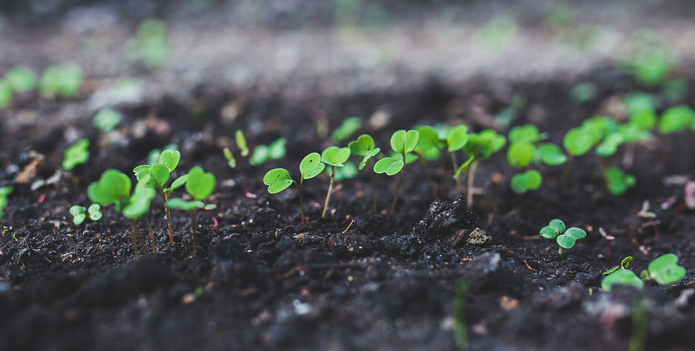 AB - Production (59).jpg