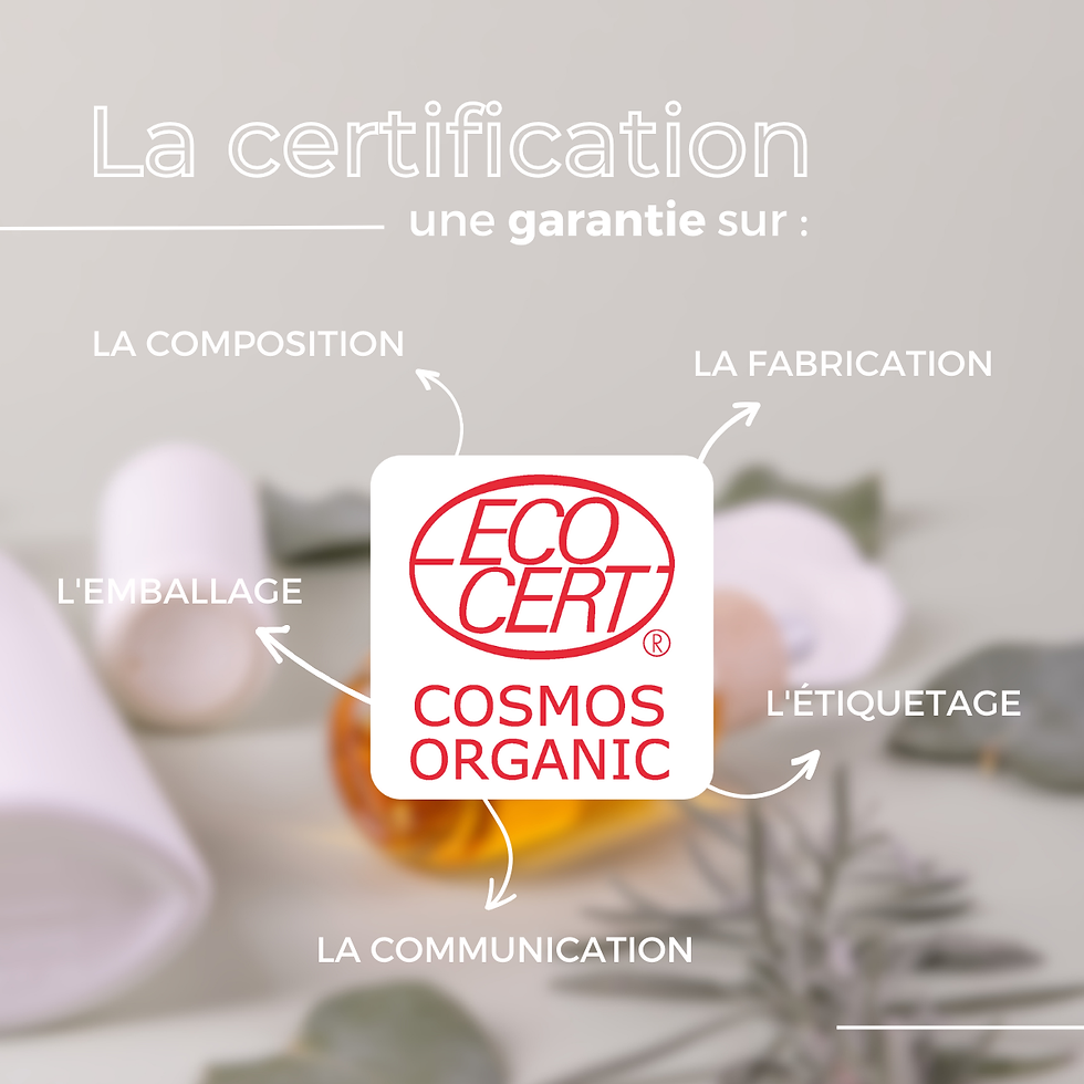 certiiif.png