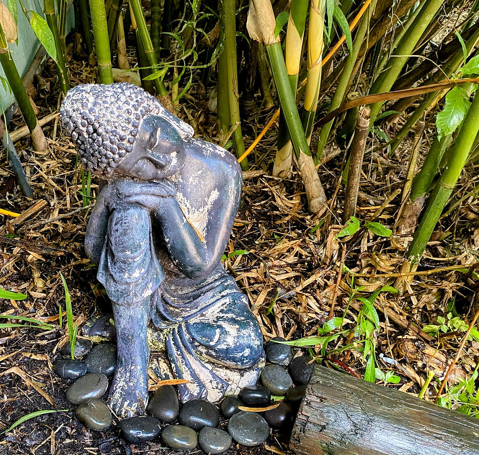 New You Retreat 2026 - A Magical 🍄 Journey of Transformation 