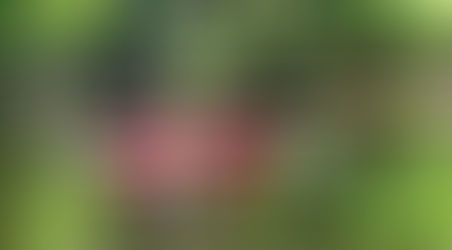 Discover Emotional Wellness at The Lodge at Runaway Bay