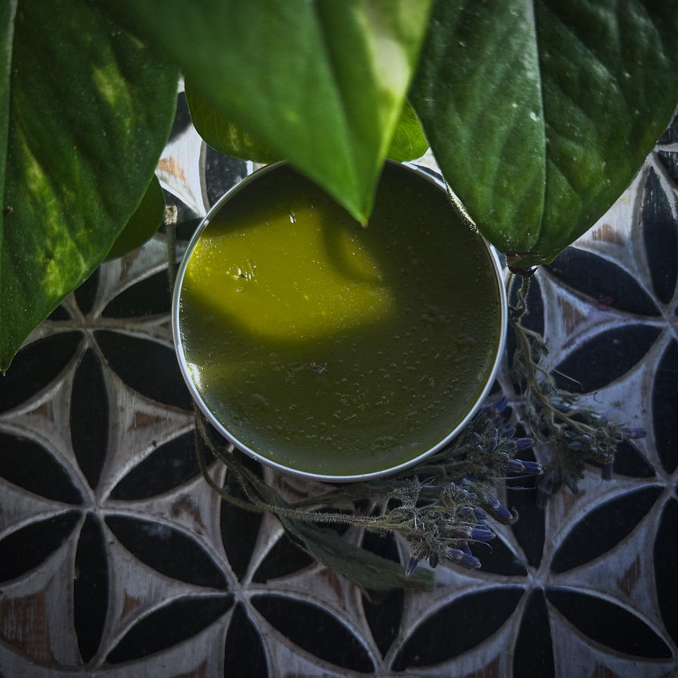Thumbnail: Comfrey - Pain Relief Salve