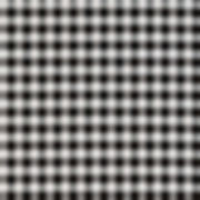 LITTLE GINGHAM / DOMINO