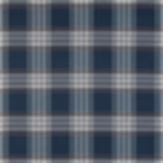 PACIFIC PLAID / DENIM