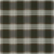 PACIFIC PLAID / CEDAR