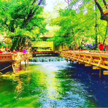 Dalyan Tekne Turu ve Yuvarlakçay Serpme Kahvaltı faaliyeti görseli