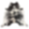 IMG_3771.WEBP