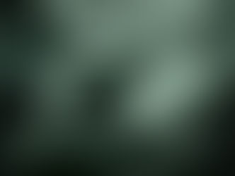 Outlast