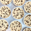 Thumbnail: Classic Chocolate Chip
