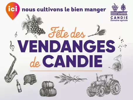 Fête des Vendanges le 08/09/24 !