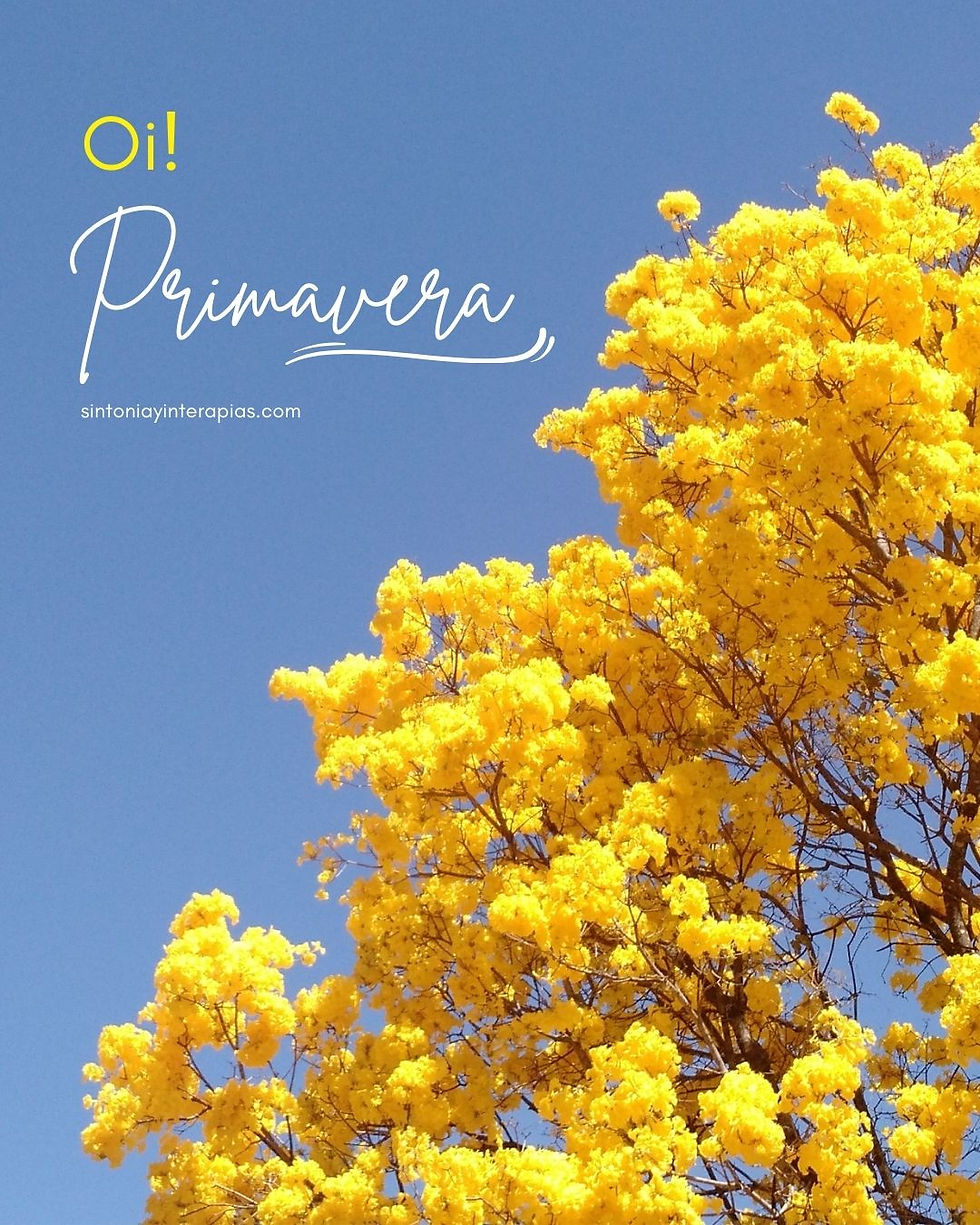 A primavera está chegando...