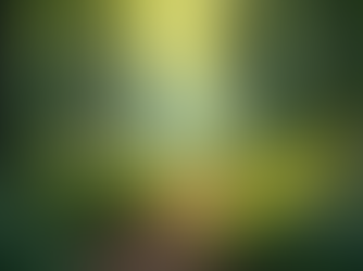 Healing and Transformation: A Path Forward