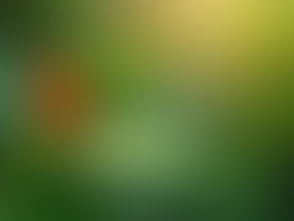 Inspiring Stories of Personal Growth Through Resilience