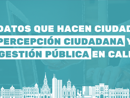 Análisis de la gestión pública a partir de los resultados de la Encuesta de Percepción Ciudadana 2024