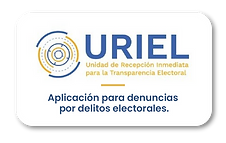 links 14 (Aplicación para denuncias por delitos electorales).png