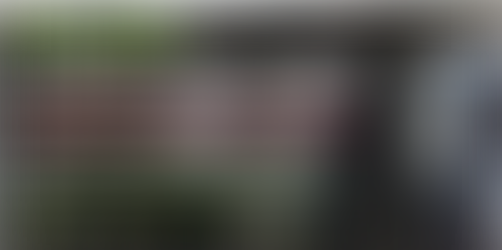 De paseo por Florida