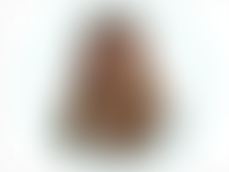 Nueva directora ejecutiva