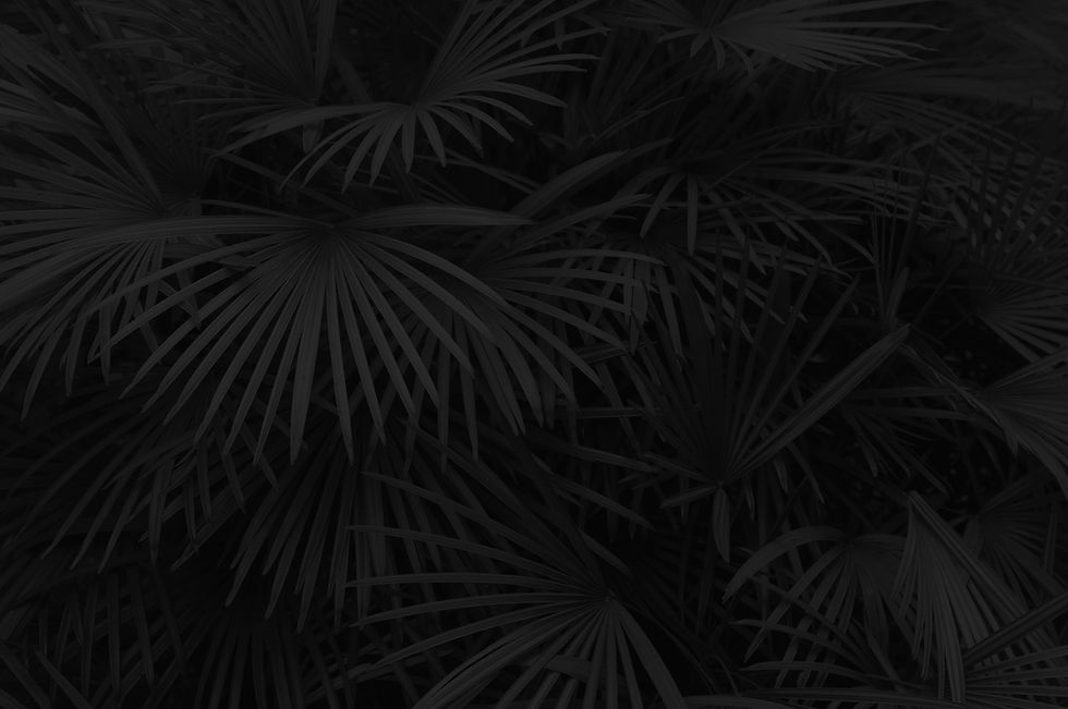 Luscious Palm Leaves_edited_edited.jpg