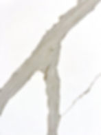 Gold Spring Quartz (Close Up)