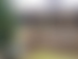 Conférences au cabinet où comment faire vivre ce lieu verdoyant....A vos propositions !