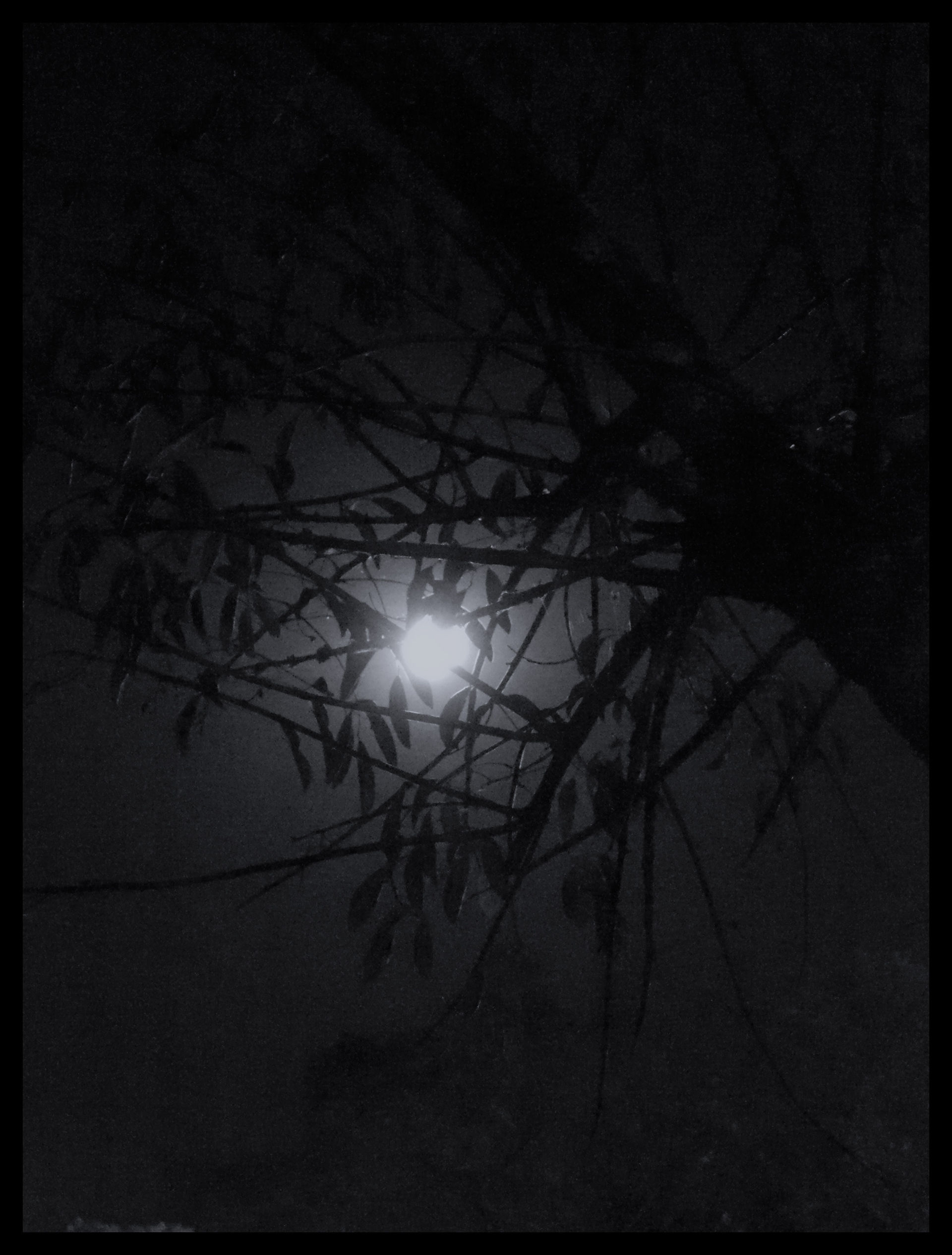 luna