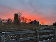 IMG_0202.jpg