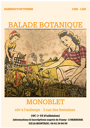 Balade botanique du 11 octobre (1).png